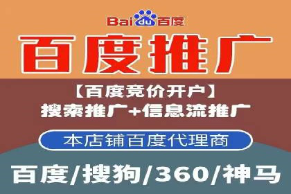 搜索引擎营销（SEM）广告投放的五大成功案例